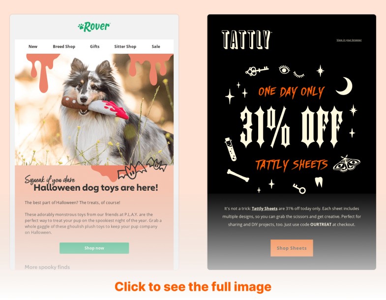 Halloween Design for Email Marketing