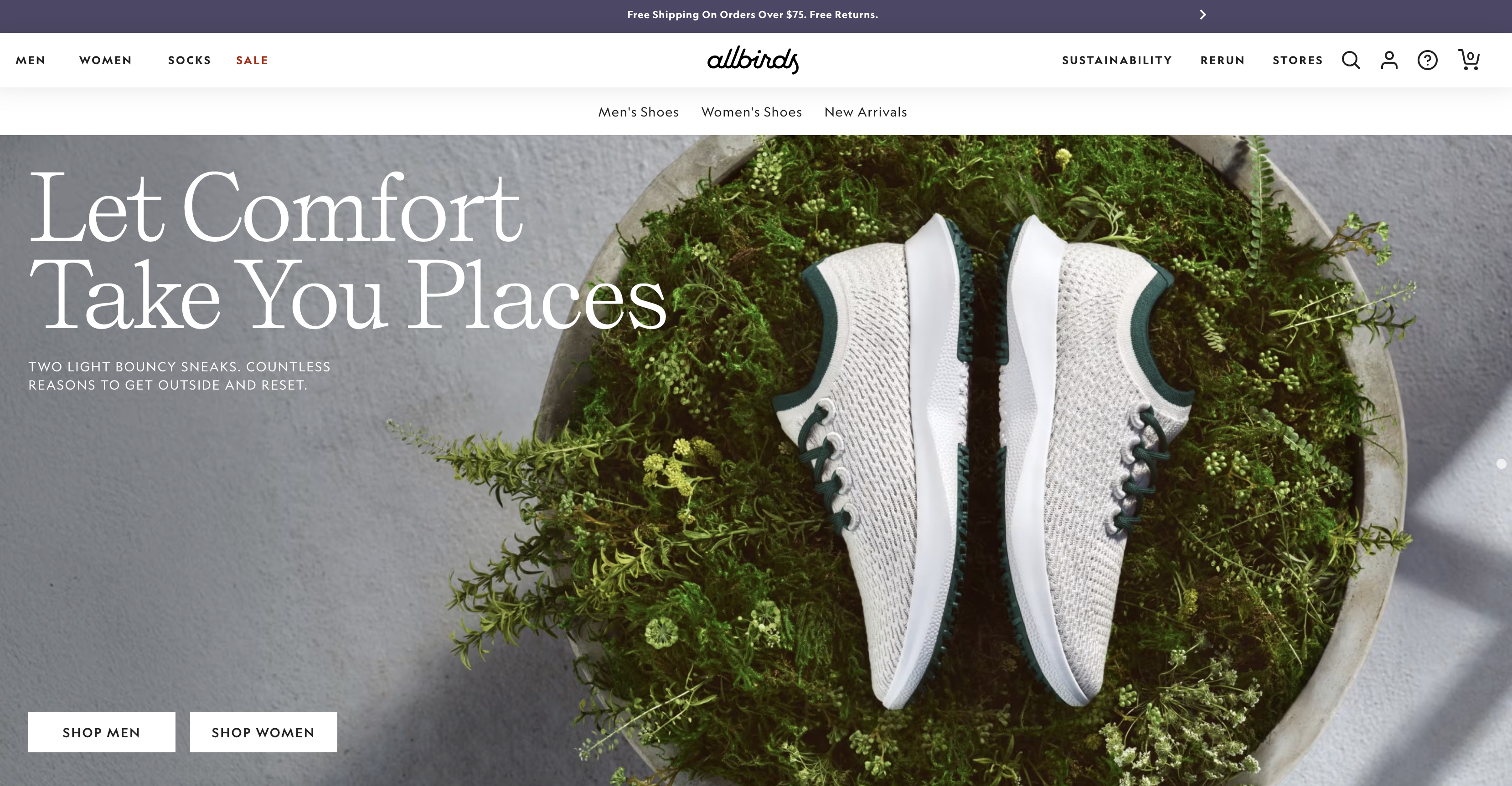 allbirds shopify pos example